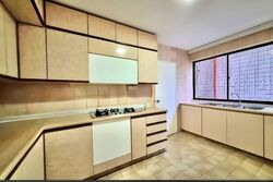 The Cairnhill (D9), Condominium #580010541